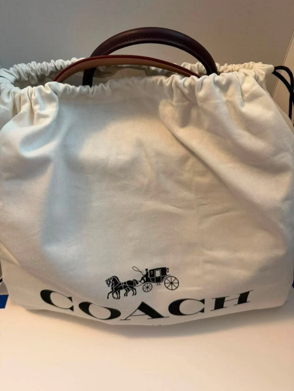 Coach 1941 Mason Carryall With Metal Tea Rose 38716